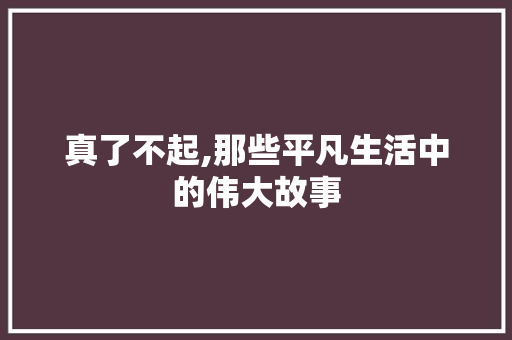 真了不起,那些平凡生活中的伟大故事