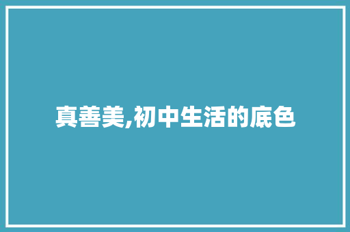 真善美,初中生活的底色