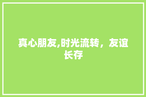 真心朋友,时光流转，友谊长存