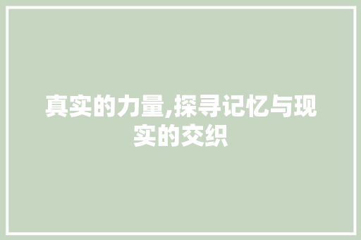 真实的力量,探寻记忆与现实的交织