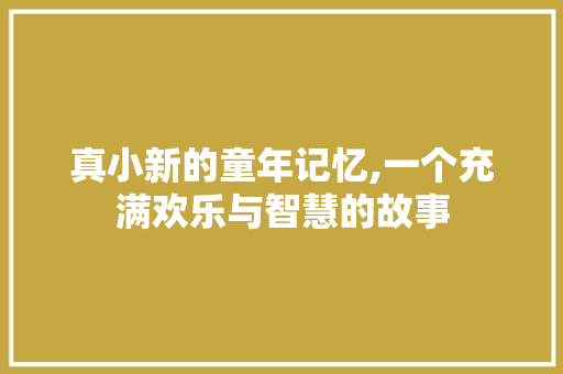 真小新的童年记忆,一个充满欢乐与智慧的故事