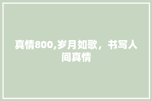 真情800,岁月如歌，书写人间真情