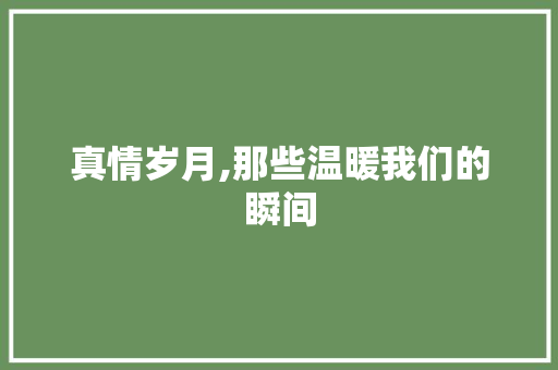 真情岁月,那些温暖我们的瞬间