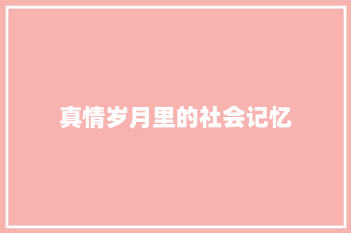 真情岁月里的社会记忆