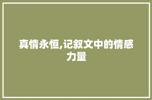 真情永恒,记叙文中的情感力量