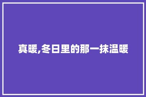 真暖,冬日里的那一抹温暖