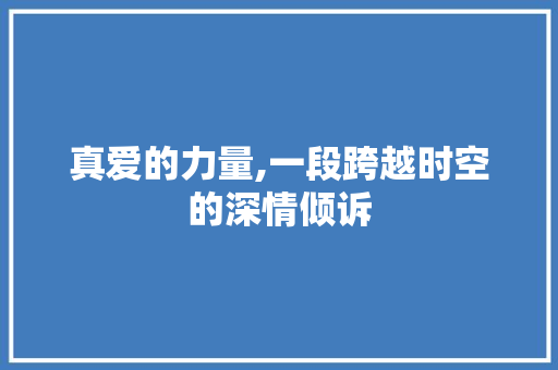 真爱的力量,一段跨越时空的深情倾诉