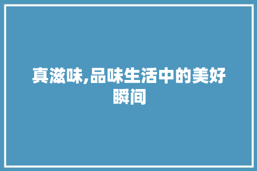 真滋味,品味生活中的美好瞬间