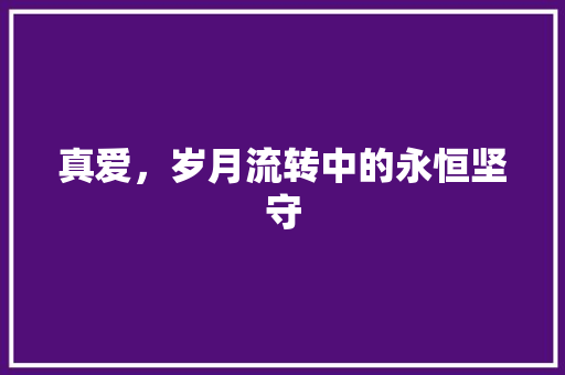 真爱，岁月流转中的永恒坚守