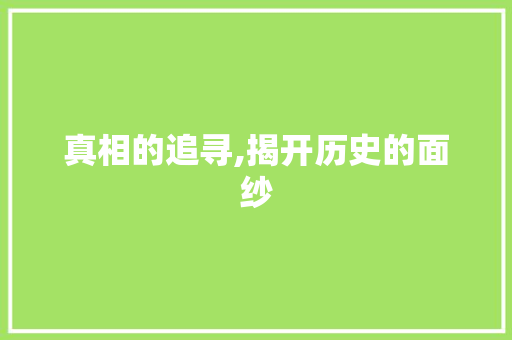 真相的追寻,揭开历史的面纱