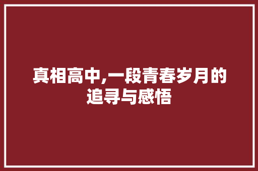 真相高中,一段青春岁月的追寻与感悟