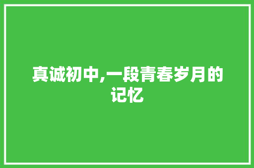 真诚初中,一段青春岁月的记忆