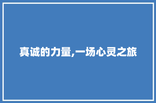 真诚的力量,一场心灵之旅