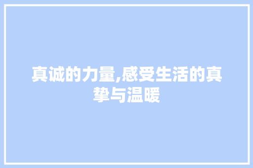 真诚的力量,感受生活的真挚与温暖