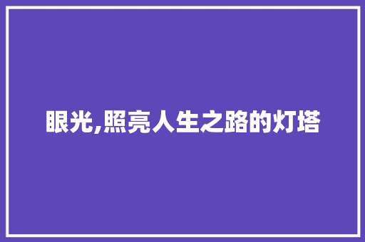 眼光,照亮人生之路的灯塔