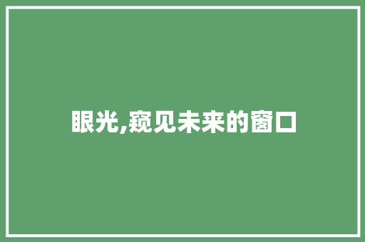 眼光,窥见未来的窗口