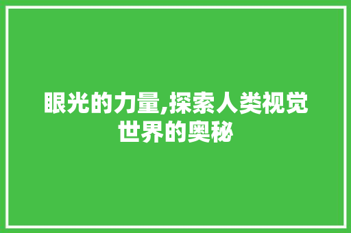 眼光的力量,探索人类视觉世界的奥秘