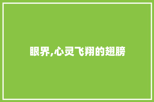 眼界,心灵飞翔的翅膀