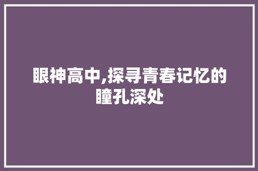 眼神高中,探寻青春记忆的瞳孔深处