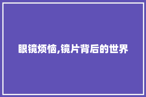 眼镜烦恼,镜片背后的世界