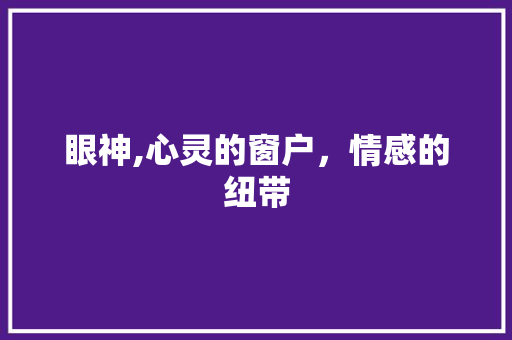 眼神,心灵的窗户，情感的纽带