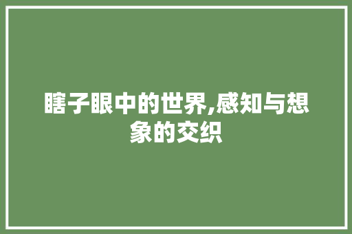 瞎子眼中的世界,感知与想象的交织