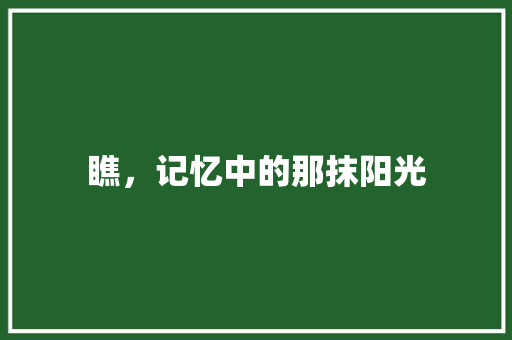 瞧，记忆中的那抹阳光