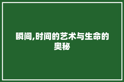 瞬间,时间的艺术与生命的奥秘