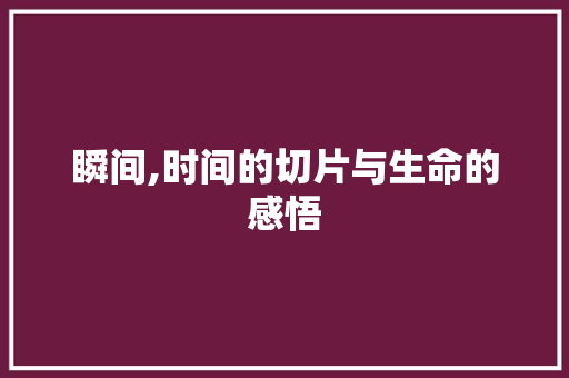 瞬间,时间的切片与生命的感悟