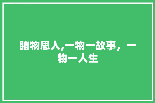 睹物思人,一物一故事，一物一人生