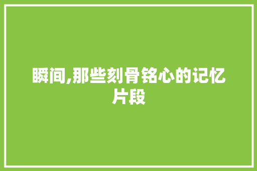 瞬间,那些刻骨铭心的记忆片段