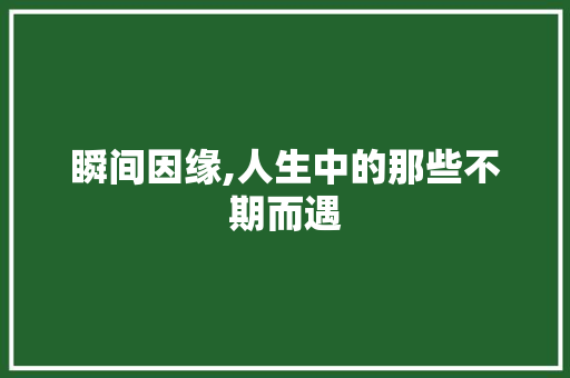 瞬间因缘,人生中的那些不期而遇