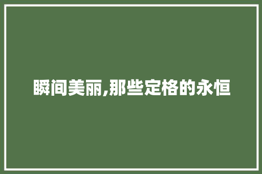 瞬间美丽,那些定格的永恒