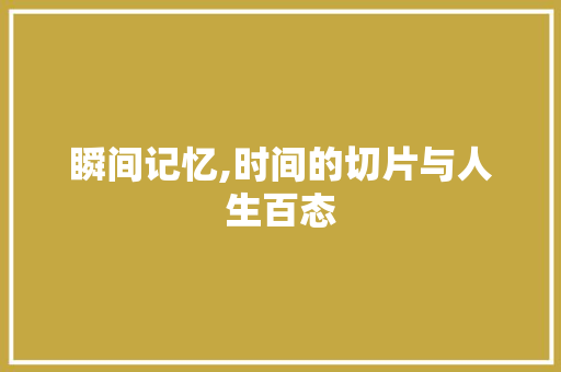 瞬间记忆,时间的切片与人生百态