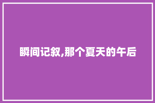 瞬间记叙,那个夏天的午后