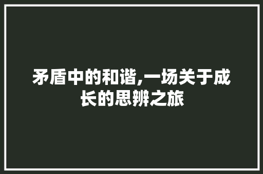 矛盾中的和谐,一场关于成长的思辨之旅