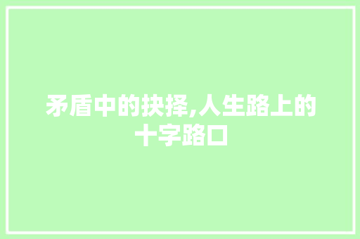 矛盾中的抉择,人生路上的十字路口