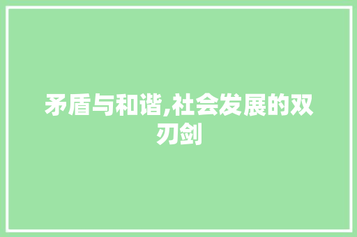 矛盾与和谐,社会发展的双刃剑