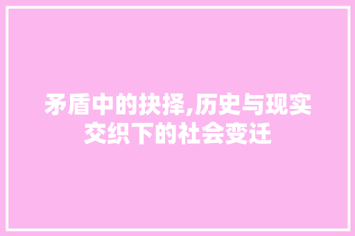 矛盾中的抉择,历史与现实交织下的社会变迁