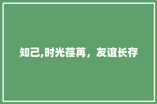 知己,时光荏苒，友谊长存