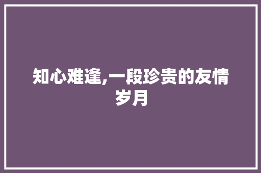 知心难逢,一段珍贵的友情岁月