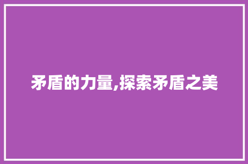 矛盾的力量,探索矛盾之美