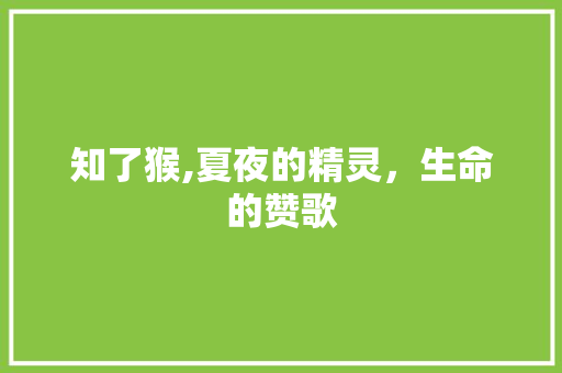 知了猴,夏夜的精灵，生命的赞歌