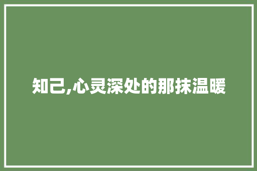 知己,心灵深处的那抹温暖