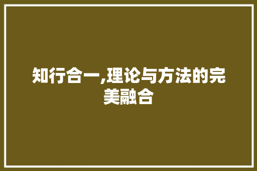 知行合一,理论与方法的完美融合