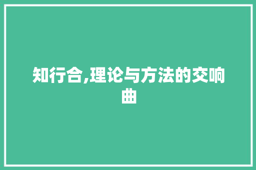 知行合,理论与方法的交响曲