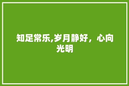 知足常乐,岁月静好，心向光明 会议纪要范文