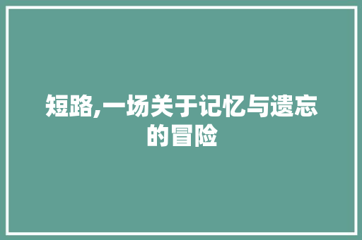 短路,一场关于记忆与遗忘的冒险