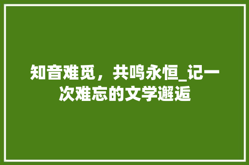 知音难觅，共鸣永恒_记一次难忘的文学邂逅