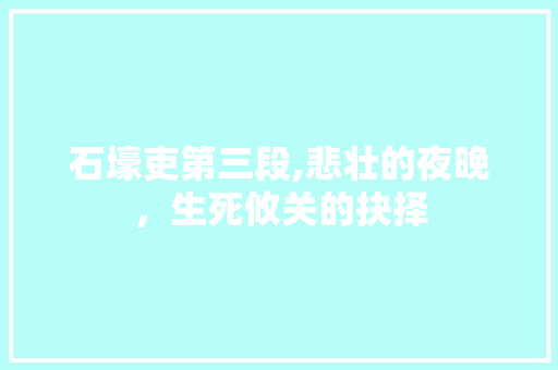 石壕吏第三段,悲壮的夜晚，生死攸关的抉择